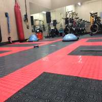 Gym Rubber Flooring/Gym Rubber Tiles